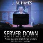 Server Down, J. M. Hayes