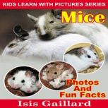 Mice Photos and Fun Facts for Kids, Isis Gaillard