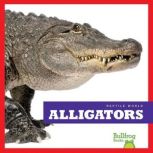 Alligators, Vanessa Black