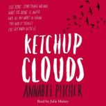 Ketchup Clouds, Annabel Pitcher