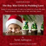 The Boy Who Lived in Pudding Lane, Sarah Addington