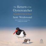 The Return of the Oystercatcher, Scott Weidensaul