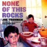 None of This Rocks A Memoir, Joe Trohman