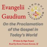 Evangelii Gaudium, Pope Francis