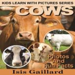 Cows Photos and Fun Facts for Kids, Isis Gaillard