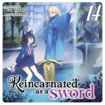 Reincarnated as a Sword Light Novel..., Yuu Tanaka