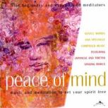 Peace of Mind, Brahma Kumaris