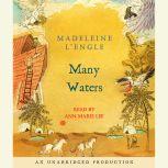 Many Waters, Madeleine LEngle