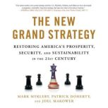 The New Grand Strategy, Mark Mykleby
