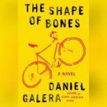 The Shape of Bones, Daniel Galera