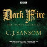 Shardlake Dark Fire, CJ Sansom