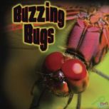 Buzzing Bugs, Tom Greve