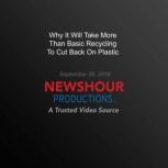 Why It Will Take More Than Basic Recy..., PBS NewsHour