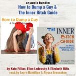 An Audio Bundle How To Dump A Guy  ..., Kate Fillion