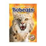Bobcats, Megan BorgertSpaniol