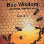 Bee Wisdom Teachings from the Hive, Sandira Belia