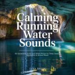 Calming Running Water Sounds, Luna Brook