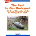 The Seal in Our Backyard, Andrea Lawson