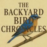Book summary  analysis of The Backya..., Briefly Summaries