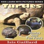 Turtles Photos and Fun Facts for Kids, Isis Gaillard