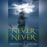 Never Never, Brianna R. Shrum
