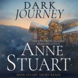 Dark Journey, Anne Stuart