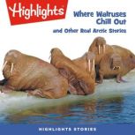 Where Walruses Chill Out, Highlights for Children