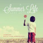 Gary soto summer life essay analysis