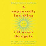 A supposedly fun thing essay