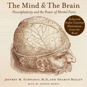 Download The Mind And The Brain Neuroplasticity And The