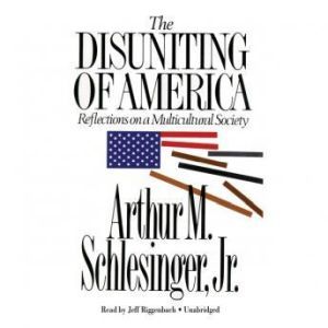 The cult of ethnicity schlesinger essay