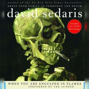 when you are engulfed in flames cover art when you are engulfed in flames cover art