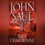 Download Audiobooks By John Saul