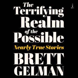 Terrifying Realm of the Possible, Brett Gelman