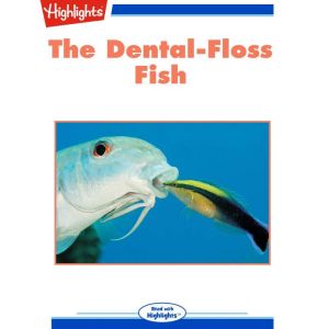 The DentalFloss Fish, Craig Stevens