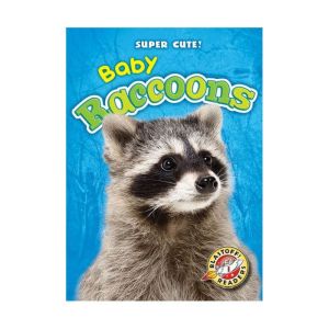 Baby Raccoons, Megan BorgertSpaniol