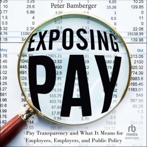 Exposing Pay, Peter Bamberger