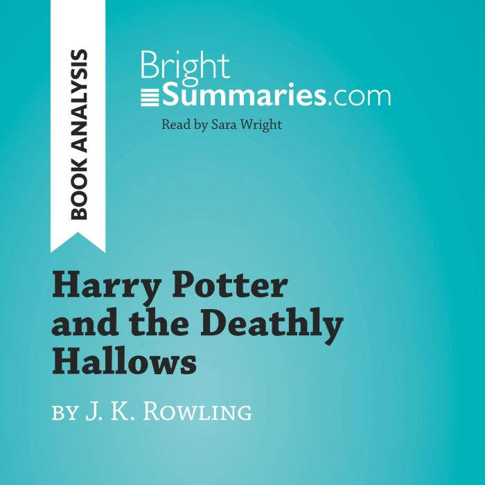 Harry Potter and the Deathly Hallows ..., Bright Summaries