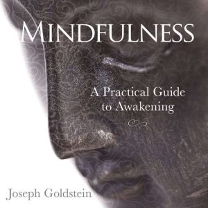 Mindfulness, Joseph Goldstein
