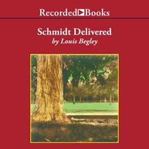Schmidt Delivered, Louis Begley