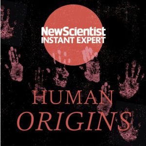 Human Origins, Mark Elstob