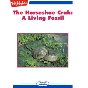 The Horseshoe Crab, George W. Frame