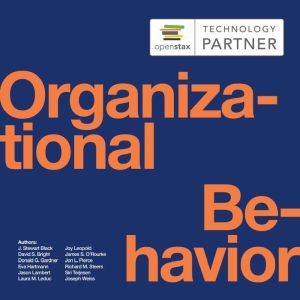 Organizational Behavior, J. Stewart Black
