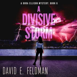 A Divisive Storm, David E. Feldman