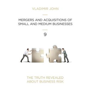 Mergers and Acqusitions of Small and ..., Vladimir John