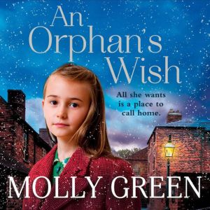 An Orphans Wish