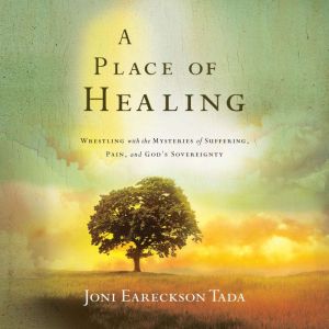 A Place of Healing: Wrestling with the Mysteries of Suffering, Pain, and God's Sovereignty