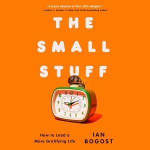The Small Stuff, Ian Bogost