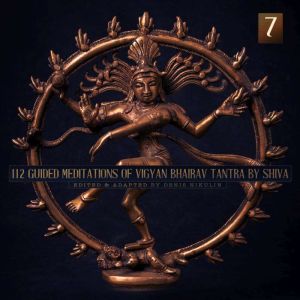 112 Guided Meditations of Vigyan Bhai..., tounknowndotcom
