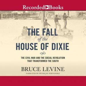 The Fall of the House of Dixie, Bruce Levine